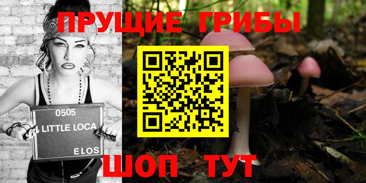 Галлюциногенные грибы прущие грибы  Вход с VPN  Верхняя Салда 
